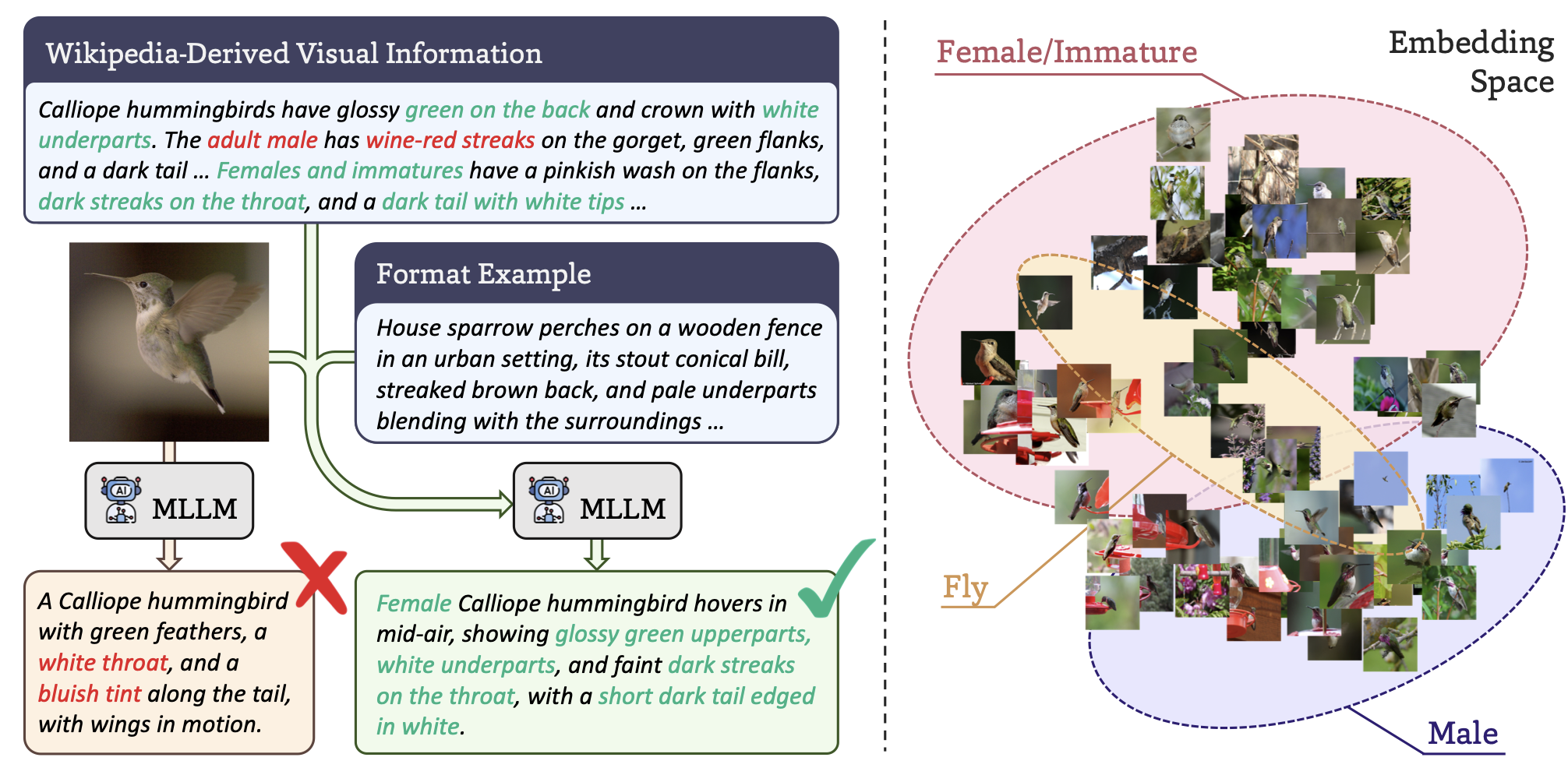 BioCAP representative figure